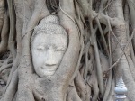 Buddah in Thailand